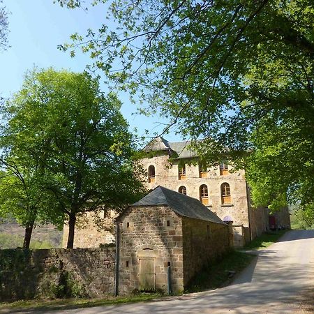 Chateau De Salelles バナサック エクステリア 写真