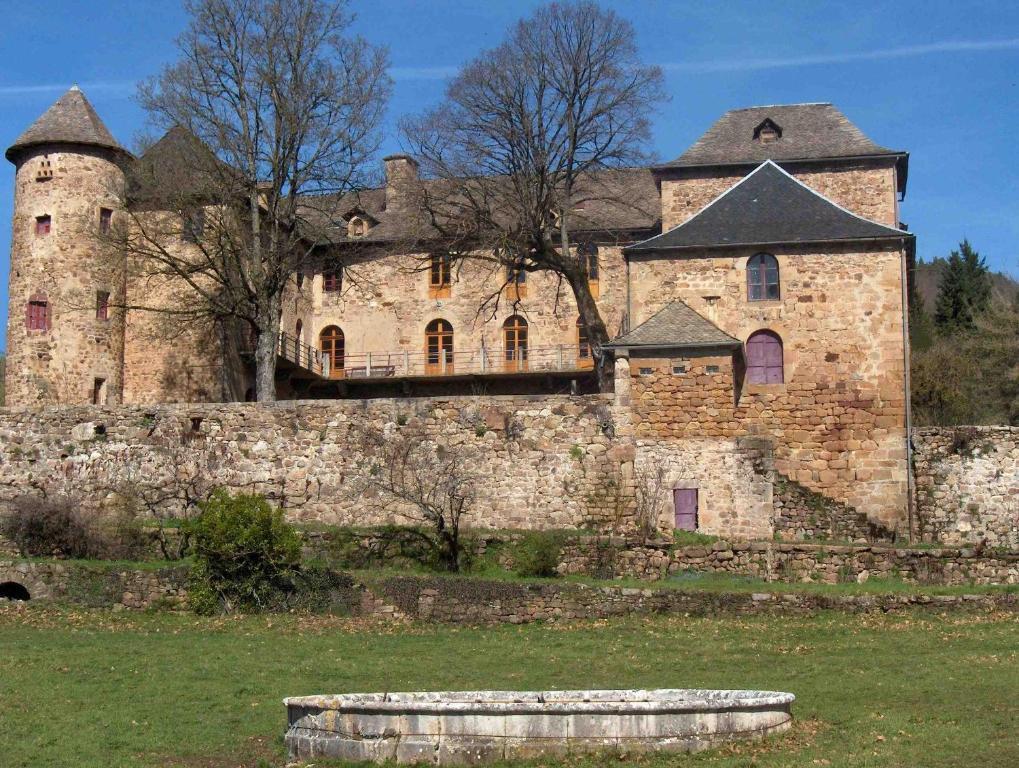 Chateau De Salelles バナサック エクステリア 写真