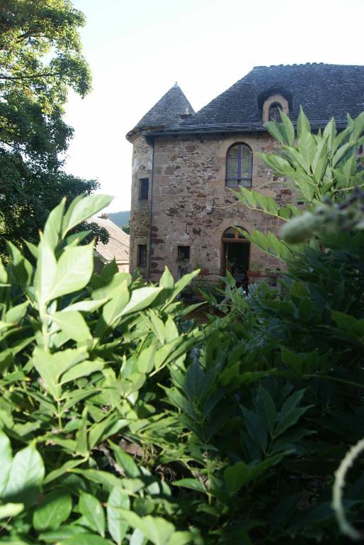 Chateau De Salelles バナサック エクステリア 写真