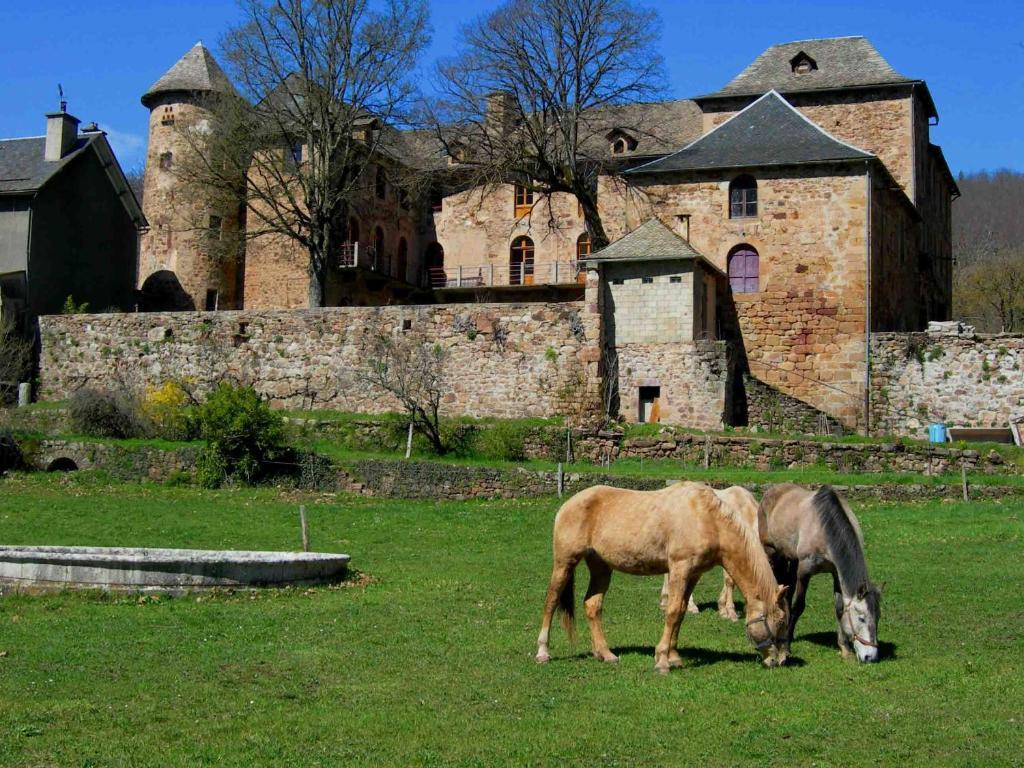 Chateau De Salelles バナサック エクステリア 写真